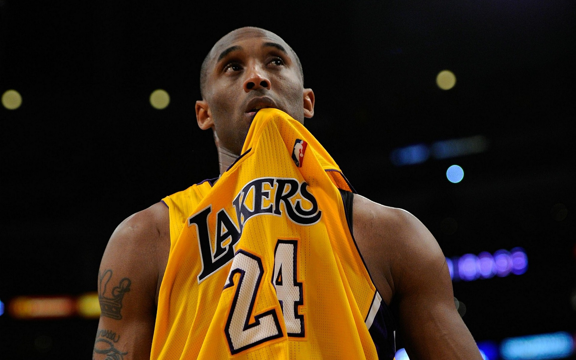 的平台人群 的平台人群