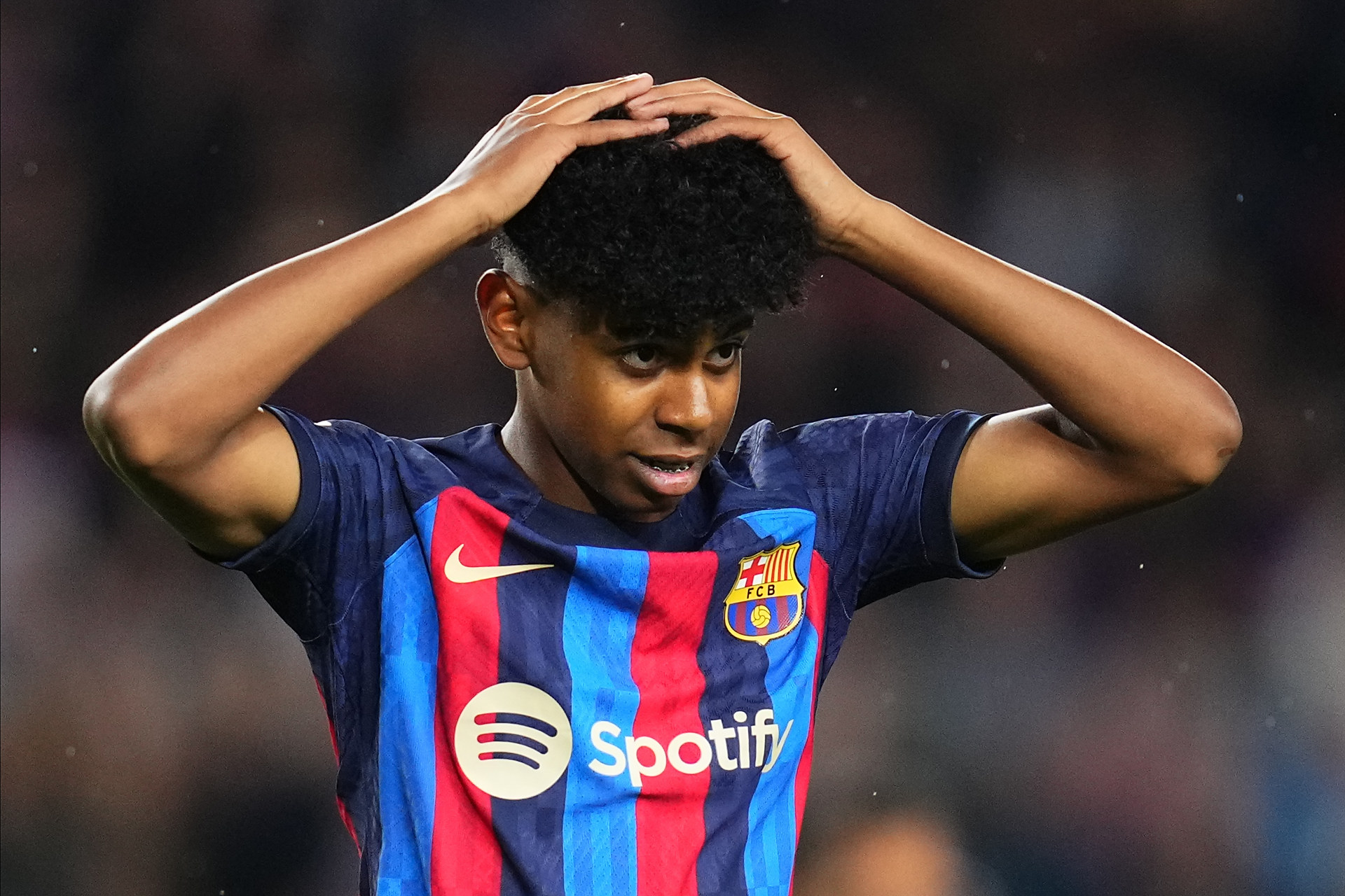 自然融入 自然融入